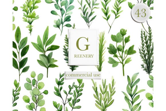 Download Watercolor Greenery Leaves Clipart - Leaves Collection
