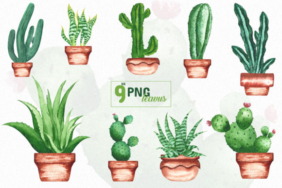 Download Watercolor Tropical Leaves - Leaves Collection