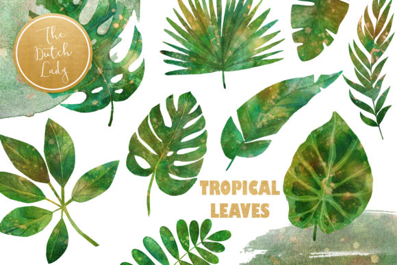 Download Tropical Jungle Leaves Clipart Set - Leaves Collection