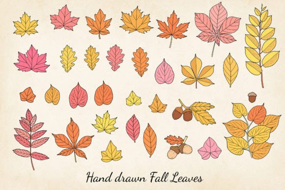 Download Hand-drawn Autumn Leaves SVG Bundle - Leaves Collection