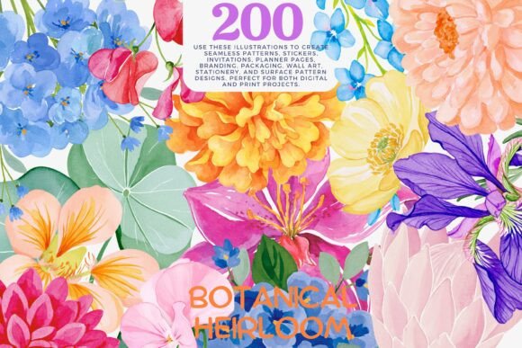 Download Watercolor Flower Clipart Bundle - Clipart bundle Collection
