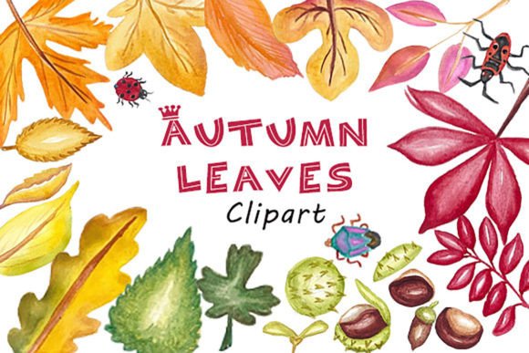 Download Watercolor Autumn Leaves Clipart - Leaves Collection