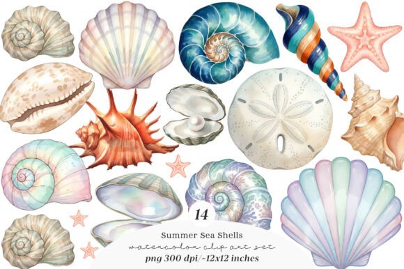 Download Sea Shells Clipart Bundle - Clipart bundle Collection